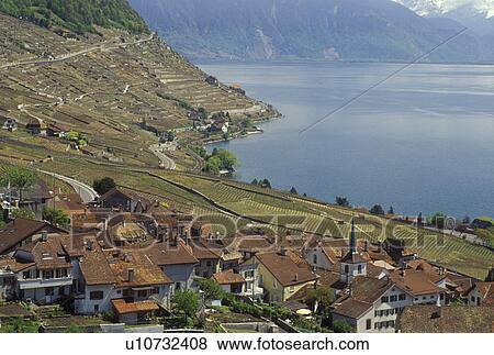 vineyard, Switzerland, Vaud, Lavaux, Lake Geneva, Alps, Europe, Picturesque village of Riex surrounded by vineyards along the lakeshore of Lac Leman in the spring in the Canton of Vaud. Scenic view of the Alps across Lake Geneva. View Large Photo Image Stock Photo - vineyard, Switzerland, Vaud, Lavaux, Lake Geneva, Alps, Europe, Picturesque village of Riex surrounded by vineyards along the lakeshore of Lac Leman in the spring in the Canton of Vaud. Scenic view of the Alps across Lake Geneva.. Fotosearch