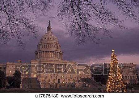 Stock Image -  Washington, DC, District of Columbia, U. S. Capitol Building, Christmas Tree, lights, decorations. Fotosearch