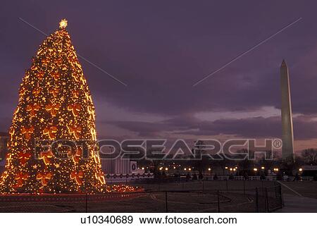 Washington, DC, District of Columbia, National Christmas Tree, Washington Monument, lights, decorations, evening View Large Photo Image Stock Photo - Washington, DC, District of Columbia, National Christmas Tree, Washington Monument, lights, decorations, evening. Fotosearch