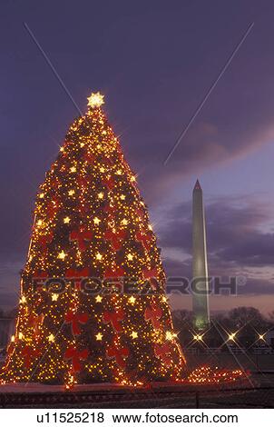 Washington, DC, District of Columbia, National Christmas Tree, Washington Monument, lights, decorations, evening View Large Photo Image Stock Photo - Washington, DC, District of Columbia, National Christmas Tree, Washington Monument, lights, decorations, evening. Fotosearch