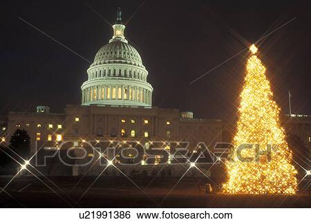 Stock Photograph -  Washington, DC, District of Columbia, U. S. Capitol Building, Christmas Tree, lights, decorations, evening. Fotosearch