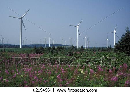 Stock Image -  windmill, Canada, Gaspe Peninsula, Gulf of St. Lawrence, Quebec, Cap Chat, Modern windmills at Windmill Park in Cap Chat on the Gaspe Peninsula in Quebec.. Fotosearch