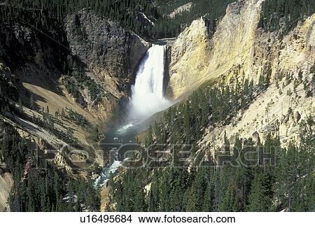 Picture -  WY, Wyoming, Yellowstone National Park, Yellowstone River, Lower Falls from Lookout Point, Grand Canyon of Yellowstone. Fotosearch