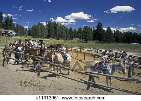 Stock Image -  WY, Wyoming, Yellowstone National Park, Canyon Area, Trail Rides, horses, people. Fotosearch