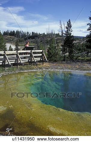 WY, Wyoming, Yellowstone National Park, Morning Glory Pool, Upper Geyser Basin View Large Photo Image Stock Image - WY, Wyoming, Yellowstone National Park, Morning Glory Pool, Upper Geyser Basin. Fotosearch