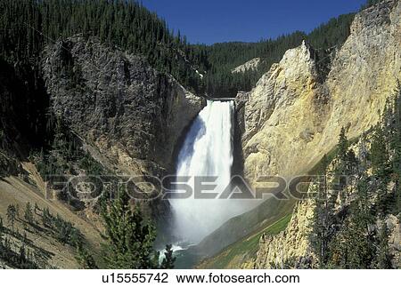 WY, Wyoming, Yellowstone National Park, Yellowstone River, Lower Falls from Red Rock, Grand Canyon of Yellowstone View Large Photo Image Stock Image - WY, Wyoming, Yellowstone National Park, Yellowstone River, Lower Falls from Red Rock, Grand Canyon of Yellowstone. Fotosearch