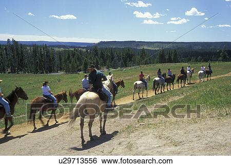 WY, Wyoming, Yellowstone National Park, Canyon Area, Trail Rides, horses, people View Large Photo Image Stock Photograph - WY, Wyoming, Yellowstone National Park, Canyon Area, Trail Rides, horses, people. Fotosearch
