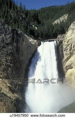 Wyoming, WY, Yellowstone National Park, Yellowstone River, Lower Falls from Red Rock, Grand Canyon of Yellowstone View Large Photo Image Stock Image - Wyoming, WY, Yellowstone National Park, Yellowstone River, Lower Falls from Red Rock, Grand Canyon of Yellowstone. Fotosearch