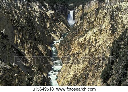 Wyoming, WY, Yellowstone National Park, Yellowstone River, Lower Falls from Artist Point, Grand Canyon of Yellowstone View Large Photo Image Stock Photo - Wyoming, WY, Yellowstone National Park, Yellowstone River, Lower Falls from Artist Point, Grand Canyon of Yellowstone. Fotosearch