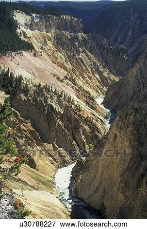 Wyoming, WY, Yellowstone National Park, Yellowstone River from Grandview Point, Grand Canyon of Yellowstone View Large Photo Image Stock Photo - Wyoming, WY, Yellowstone National Park, Yellowstone River from Grandview Point, Grand Canyon of Yellowstone. Fotosearch