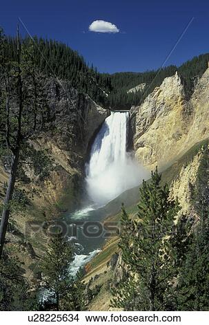 Picture -  Yellowstone National Park, WY, Wyoming, Yellowstone River, Lower Falls from Red Rock, Grand Canyon of Yellowstone. Fotosearch