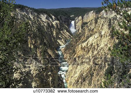Yellowstone National Park, WY, Wyoming, Yellowstone River, Lower Falls from Artist Point, Grand Canyon of Yellowstone View Large Photo Image Stock Image - Yellowstone National Park, WY, Wyoming, Yellowstone River, Lower Falls from Artist Point, Grand Canyon of Yellowstone. Fotosearch
