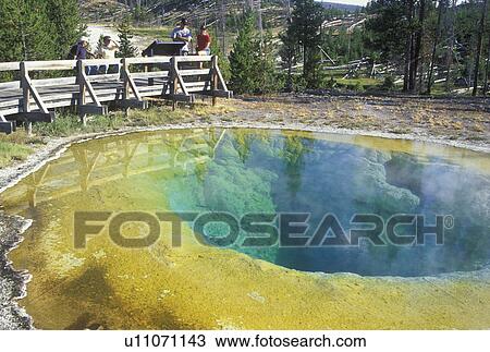 Yellowstone National Park, WY, Wyoming, Morning Glory Pool, Upper Geyser Basin View Large Photo Image Stock Image - Yellowstone National Park, WY, Wyoming, Morning Glory Pool, Upper Geyser Basin. Fotosearch