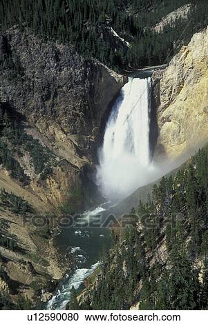 Yellowstone National Park, WY, Wyoming, Yellowstone River, Lower Falls from Lookout Point, Grand Canyon of Yellowstone View Large Photo Image Stock Image - Yellowstone National Park, WY, Wyoming, Yellowstone River, Lower Falls from Lookout Point, Grand Canyon of Yellowstone. Fotosearch