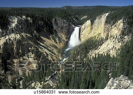 Stock Image -  Yellowstone National Park, WY, Wyoming, Yellowstone River, Lower Falls from Lookout Point, Grand Canyon of Yellowstone. Fotosearch