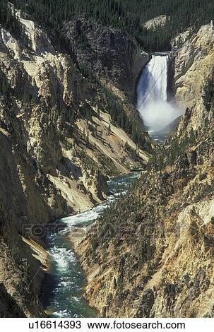 Stock Image -  Yellowstone National Park, WY, Wyoming, Yellowstone River, Lower Falls from Artist Point, Grand Canyon of Yellowstone. Fotosearch