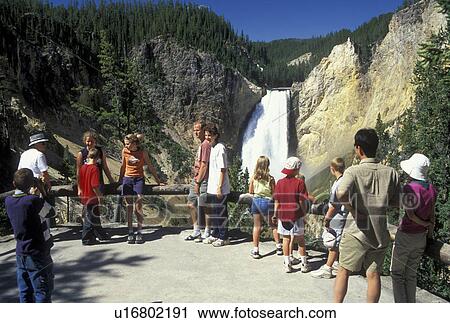 Yellowstone National Park, WY, Wyoming, Yellowstone River, Lower Falls from Red Rock, Grand Canyon of Yellowstone, people View Large Photo Image Stock Image - Yellowstone National Park, WY, Wyoming, Yellowstone River, Lower Falls from Red Rock, Grand Canyon of Yellowstone, people. Fotosearch