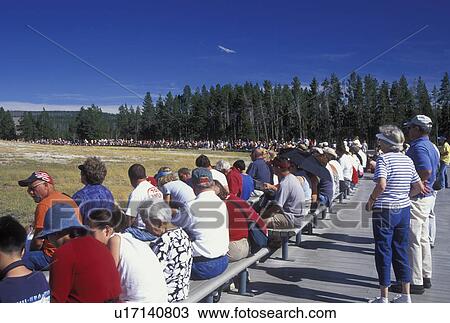 Yellowstone National Park, WY, Wyoming, Old Faithful Geyser, Upper Geyser Basin, crowd of people View Large Photo Image Stock Image - Yellowstone National Park, WY, Wyoming, Old Faithful Geyser, Upper Geyser Basin, crowd of people. Fotosearch