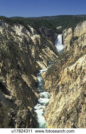 Yellowstone National Park, WY, Wyoming, Yellowstone River, Lower Falls from Artist Point, Grand Canyon of Yellowstone View Large Photo Image Stock Image - Yellowstone National Park, WY, Wyoming, Yellowstone River, Lower Falls from Artist Point, Grand Canyon of Yellowstone. Fotosearch