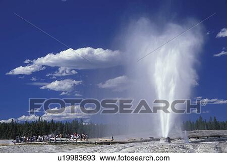 Yellowstone National Park, WY, Wyoming, Beehive Geyser, Upper Geyser Basin View Large Photo Image Stock Image - Yellowstone National Park, WY, Wyoming, Beehive Geyser, Upper Geyser Basin. Fotosearch