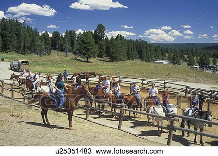 Yellowstone National Park, WY, Wyoming, Canyon Area, Trail Rides, horses, people View Large Photo Image Stock Image - Yellowstone National Park, WY, Wyoming, Canyon Area, Trail Rides, horses, people. Fotosearch