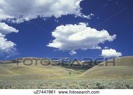 Yellowstone National Park, WY, Wyoming, Lamar Valley View Large Photo Image Stock Image - Yellowstone National Park, WY, Wyoming, Lamar Valley. Fotosearch