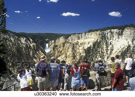 Yellowstone National Park, WY, Wyoming, Yellowstone River, Lower Falls from Artist Point, Grand Canyon of Yellowstone, people View Large Photo Image Stock Image - Yellowstone National Park, WY, Wyoming, Yellowstone River, Lower Falls from Artist Point, Grand Canyon of Yellowstone, people. Fotosearch
