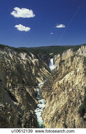 Yellowstone National Park, WY, Wyoming, Yellowstone River, Lower Falls from Artist Point, Grand Canyon of Yellowstone View Large Photo Image Stock Photo - Yellowstone National Park, WY, Wyoming, Yellowstone River, Lower Falls from Artist Point, Grand Canyon of Yellowstone. Fotosearch