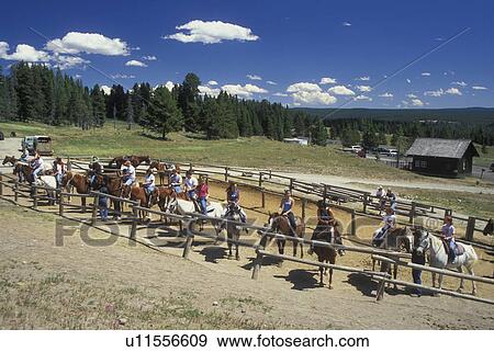 Stock Photo -  Yellowstone National Park, WY, Wyoming, Canyon Area, Trail Rides, horses, people. Fotosearch