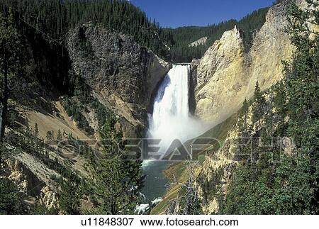 Yellowstone National Park, WY, Wyoming, Yellowstone River, Lower Falls from Red Rock, Grand Canyon of Yellowstone View Large Photo Image Stock Photo - Yellowstone National Park, WY, Wyoming, Yellowstone River, Lower Falls from Red Rock, Grand Canyon of Yellowstone. Fotosearch