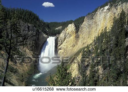 Yellowstone National Park, WY, Wyoming, Yellowstone River, Lower Falls from Red Rock, Grand Canyon of Yellowstone View Large Photo Image Stock Photo - Yellowstone National Park, WY, Wyoming, Yellowstone River, Lower Falls from Red Rock, Grand Canyon of Yellowstone. Fotosearch