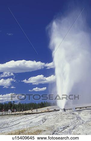 Yellowstone National Park, WY, Wyoming, Beehive Geyser, Upper Geyser Basin View Large Photo Image Stock Photography - Yellowstone National Park, WY, Wyoming, Beehive Geyser, Upper Geyser Basin. Fotosearch