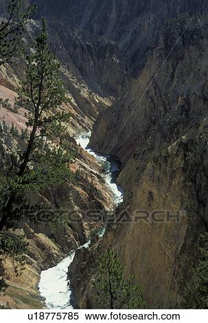 Yellowstone National Park, WY, Wyoming, Yellowstone River from Grandview Point, Grand Canyon of Yellowstone View Large Photo Image Stock Photography - Yellowstone National Park, WY, Wyoming, Yellowstone River from Grandview Point, Grand Canyon of Yellowstone. Fotosearch