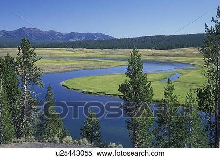 Yellowstone National Park, WY, Wyoming, Yellowstone River View Large Photo Image Stock Photography - Yellowstone National Park, WY, Wyoming, Yellowstone River. Fotosearch