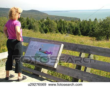 Bay of Fundy, Canada, New Brunswick, Fundy National Park, overlook View Large Photo Image Stock Photo - Bay of Fundy, Canada, New Brunswick, Fundy National Park, overlook. Fotosearch