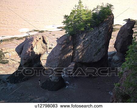 Stock Image -  Bay of Fundy, Hopewell Cape, New Brunswick, Canada, Hopewell Rocks Ocean Tidal Exploration Site, Flower Pot Rocks. Fotosearch