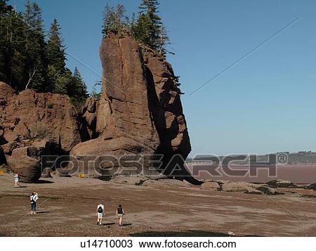 Bay of Fundy, Hopewell Cape, New Brunswick, Canada, Hopewell Rocks Ocean Tidal Exploration Site, Flower Pot Rocks View Large Photo Image Stock Image - Bay of Fundy, Hopewell Cape, New Brunswick, Canada, Hopewell Rocks Ocean Tidal Exploration Site, Flower Pot Rocks. Fotosearch