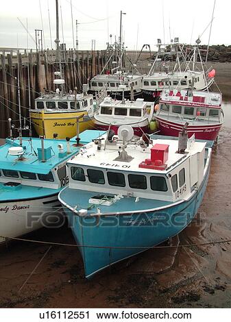 Bay of Fundy, New Brunswick, Alma, Canada, Highest tide in the world (48 feet), lobster boats View Large Photo Image Stock Image - Bay of Fundy, New Brunswick, Alma, Canada, Highest tide in the world (48 feet), lobster boats. Fotosearch