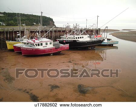 Bay of Fundy, New Brunswick, Canada, Alma, Highest tide in the world (48 feet), fishing boats View Large Photo Image Stock Image - Bay of Fundy, New Brunswick, Canada, Alma, Highest tide in the world (48 feet), fishing boats. Fotosearch