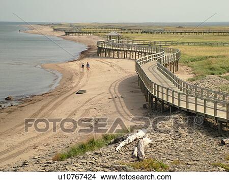 Picture -  Bouctouche, Canada, New Brunswick, Acadian Coastal Drive, La Dune de Bouctouche, Irving Eco-Centre, Boardwalk across the sand dunes along Bouctouche Bay.. Fotosearch
