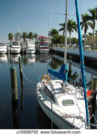 Bradenton, FL, Florida, Manatee River, Twin Dolphin Marina View Large Photo Image Stock Image - Bradenton, FL, Florida, Manatee River, Twin Dolphin Marina. Fotosearch