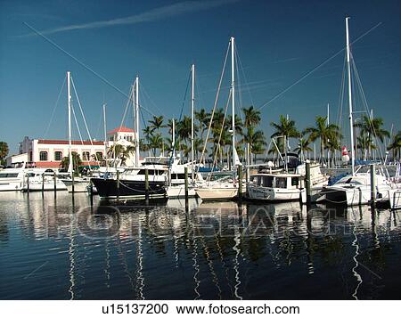 Bradenton, FL, Florida, Manatee River, Twin Dolphin Marina View Large Photo Image Stock Image -  Bradenton, FL, Florida, Manatee River, Twin Dolphin Marina. Fotosearch