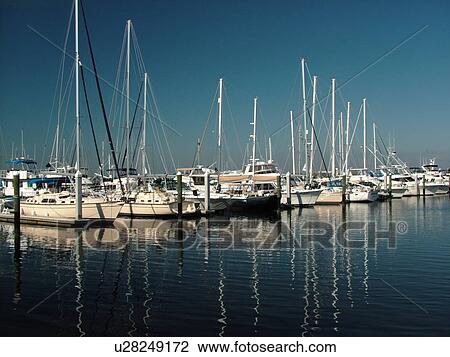 Bradenton, FL, Florida, Manatee River, Twin Dolphin Marina View Large Photo Image Stock Image - Bradenton, FL, Florida, Manatee River, Twin Dolphin Marina. Fotosearch