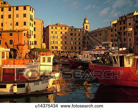 Camogli, Liguria, Italy, Riviera di Levante, Ligurian Riviera, Europe, Fishing boats moored in the fishing port in the resort town of Camogli along the Ligurian Sea. View Large Photo Image Picture - Camogli, Liguria, Italy, Riviera di Levante, Ligurian Riviera, Europe, Fishing boats moored in the fishing port in the resort town of Camogli along the Ligurian Sea.. Fotosearch