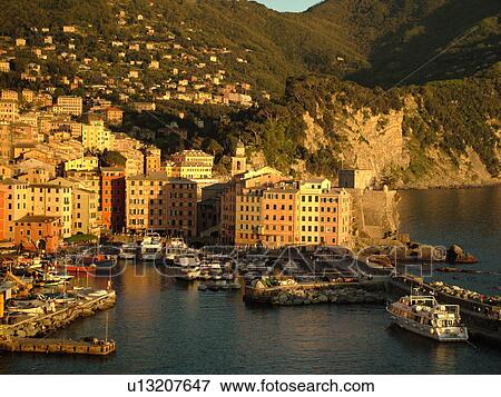 Camogli, Liguria, Italy, Riviera di Levante, Ligurian Riviera, Europe, Scenic view of the fishing port in the resort town of Camogli along the Ligurian Sea. View Large Photo Image Stock Photo - Camogli, Liguria, Italy, Riviera di Levante, Ligurian Riviera, Europe, Scenic view of the fishing port in the resort town of Camogli along the Ligurian Sea.. Fotosearch