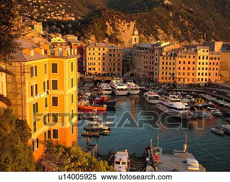 Camogli, Liguria, Italy, Riviera di Levante, Ligurian Riviera, Europe, Scenic view of the fishing port in the resort town of Camogli along the Ligurian Sea. View Large Photo Image Stock Photography - Camogli, Liguria, Italy, Riviera di Levante, Ligurian Riviera, Europe, Scenic view of the fishing port in the resort town of Camogli along the Ligurian Sea.. Fotosearch