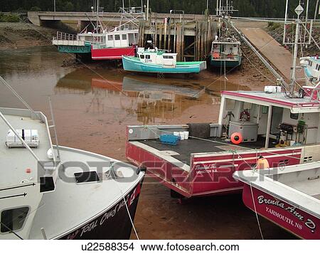 Picture -  Canada, New Brunswick, Alma, Bay of Fundy, Highest tide in the world (48 feet), fishing boats. Fotosearch