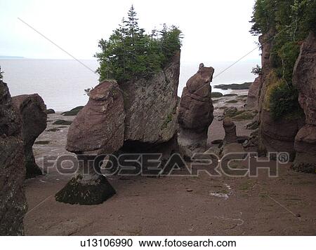 Canada, New Brunswick, Bay of Fundy, Hopewell Cape, Hopewell Rocks Ocean Tidal Exploration Site, Flower Pot Rocks View Large Photo Image Stock Image - Canada, New Brunswick, Bay of Fundy, Hopewell Cape, Hopewell Rocks Ocean Tidal Exploration Site, Flower Pot Rocks. Fotosearch