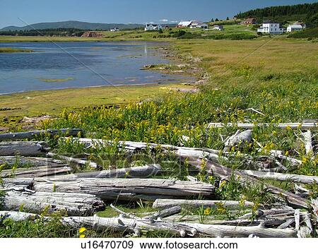 Canada, New Brunswick, Bay of Fundy, Waterside, scenic coastline View Large Photo Image Stock Photo - Canada, New Brunswick, Bay of Fundy, Waterside, scenic coastline. Fotosearch