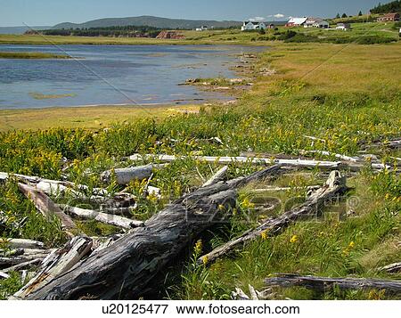 Canada, New Brunswick, Bay of Fundy, Waterside, scenic coastline View Large Photo Image Stock Photo - Canada, New Brunswick, Bay of Fundy, Waterside, scenic coastline. Fotosearch